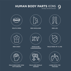 9 Mouth Open, Men Shoulder, Male head side view with brains, nose of a line, Masculine Chromosomes, Leg modern icons on black background, vector illustration, eps10, trendy icon set.
