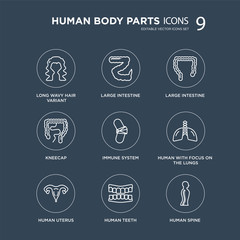 9 Long wavy hair variant, Large intestine, Human Uterus, with focus on the lungs, Immune System, Intestine modern icons black background, vector illustration, eps10, trendy icon set.