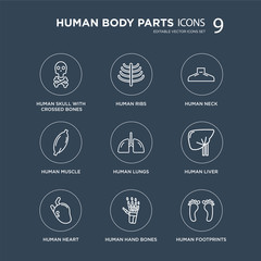 9 Human skull with crossed bones, Ribs, Heart, Liver, Lungs, Neck modern icons on black background, vector illustration, eps10, trendy icon set.