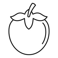 Persimmon fruit icon. Outline persimmon fruit vector icon for web design isolated on white background