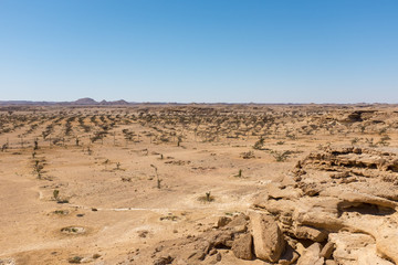 Landscape approaching the Empty Quarter desert, Oman