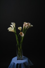Callas in the vase