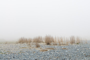 Nordseestrand im Nebel