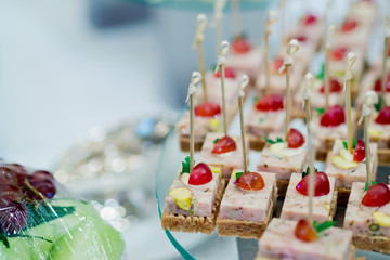 sandwich, mini canapes, buffet food, catering food party at restaurant, snacks and appetizers, mini cake, food for the event
