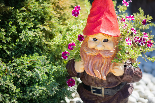 Garden gnome surrounded by beautiful flowers