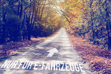 Eine Straße und Hinweis Nur für elektrische Fahrzeuge