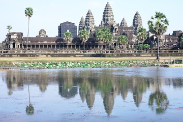 Fototapeta premium Siem Reap,Cambodia-Januay 11, 2019: Angkor Wat and its reflection on the pond in Cambodia 