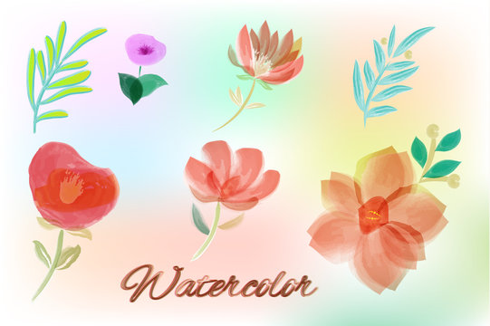Watercolor elements for your design