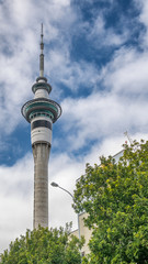 Naklejka premium Sky Tower of Auckland - New Zealand