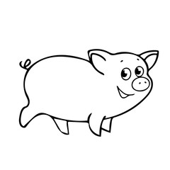 pig
