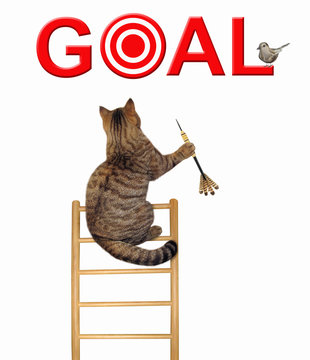The cat with a dart climbed up the wooden ladder to catch the bird. This is its goal. White background.