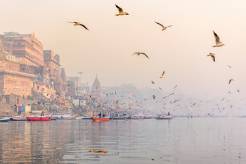  Morning view of holy ghats of Varanasi with a boatman sailing and migratory seagulls flying in...