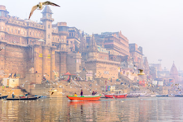  Morning view of holy ghats of Varanasi with a boatman sailing and migratory seagulls flying in...