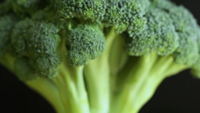 fresh broccoli close up zoom camera depth of field
