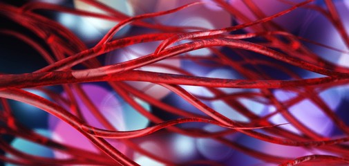 blood vessels, veins and arteries, circulatory system - obrazy, fototapety, plakaty