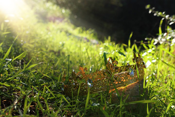 mysterious and magical photo of king crown over the stone in the England woods or field landscape with light flare. Medieval period concept.