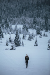 Fototapeta na wymiar Young traveler people walking in the snowy forest