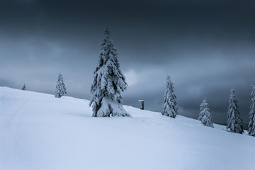 Panoramic view of the snow covered trees and dark clouds,winter landscape.