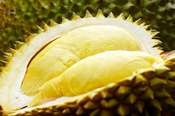 Fresh fruit durian