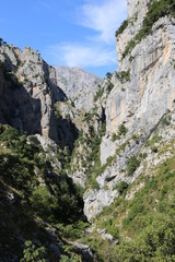 Ruta del Cares