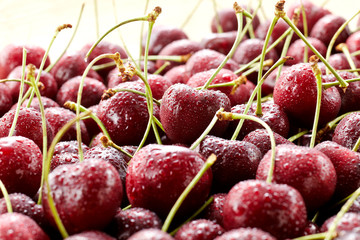 Fresh fruit red cherries, closeup. 