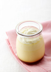 Delicious creamy pudding on a white background