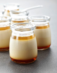 Delicious creamy pudding on a white background