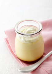 Delicious creamy pudding on a white background