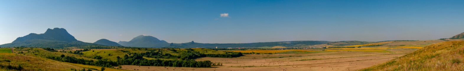 Fototapeta na wymiar Fields with blooming sunflower. Farm mowing, hay and straw for livestock in winter. Panorama