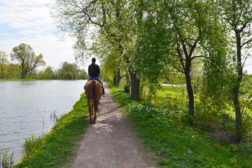 A young brunette woman in jeans and blue hoodie rides a bay horse along a path by the lake in the shade of a trees. Back view.