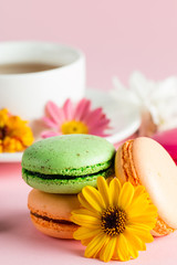 Still life and food photo of cake macarons in a gift box with flowers, a cup of tea on light background. Sweets and desserts concept of macaroons.