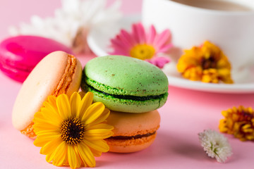 Still life and food photo of cake macarons in a gift box with flowers, a cup of tea on light background. Sweets and desserts concept of macaroons.