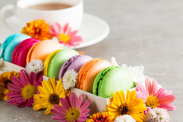 Still life and food photo of cake macarons in a gift box with flowers, a cup of tea on light background. Sweets and desserts concept of macaroons.
