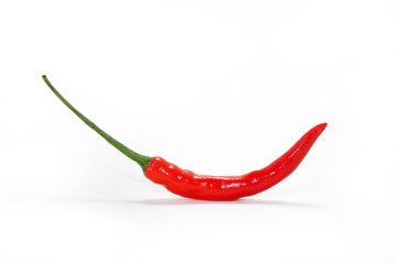chili pepper isolated on a white background
