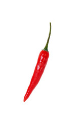 chili pepper isolated on a white background