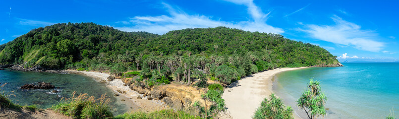 Panorama eines Strandes mit Dschungel im Hintergrund.
