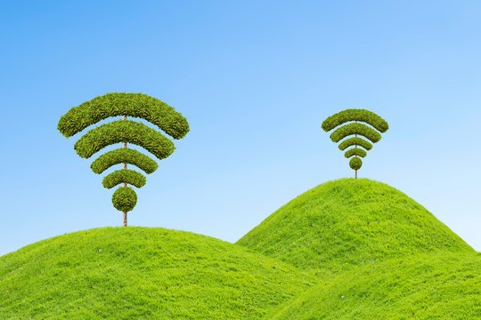 Tree wifi symbol, made by bushes shape. 
