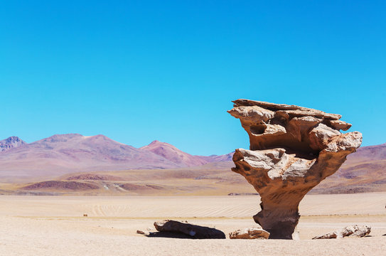 Arbol De Piedra
