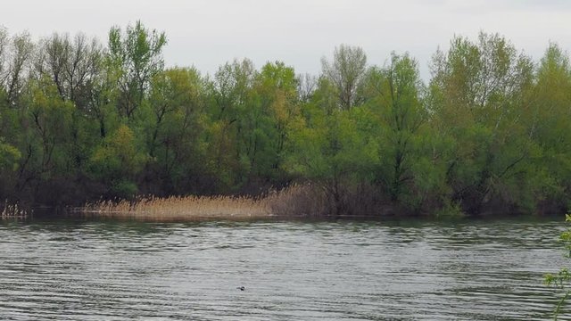 Early spring river, Volgograd, Russia. Pan to right