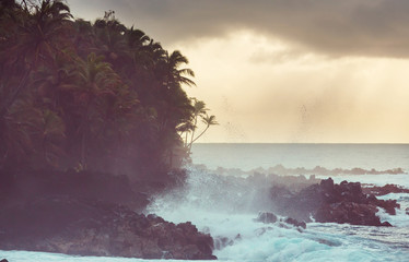 Hawaiian coast