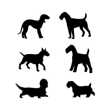 Vector set of dogs silhouette for design