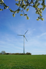 Fototapeta na wymiar rural landscape with wind turbine and cherry tree blossoms 