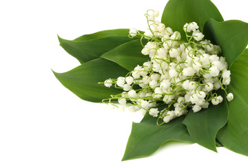 lilies of the valley isolated on white background. top view