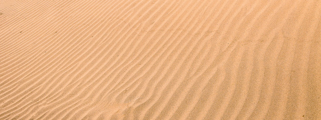 Red sand ripples in the Sahara desert 