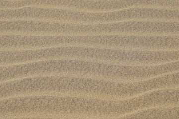 Fototapeta na wymiar Sand background - beach