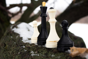 Four figures of chess on a branch of tree