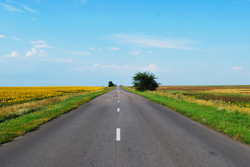 empty road in the field