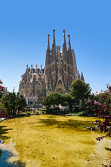 Fototapety na wymiar - Fototapeta24.pl