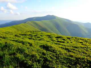 Obraz premium green mountain range