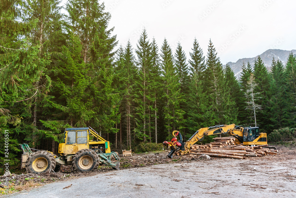 Sticker Woodworking machine tractor harvester in the forest. Primary wood processing, pruning branches. Deforestation.